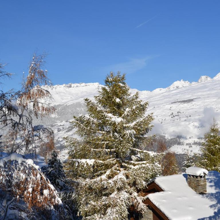 Fabulous chalet La Plagne - ski in-ski out - Sauna with Mont Blanc view - Chalet - 17