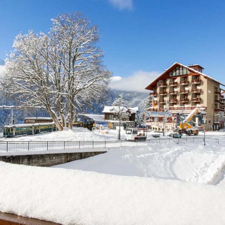 Chalet Waldschluecht - Superior Apartment - 20