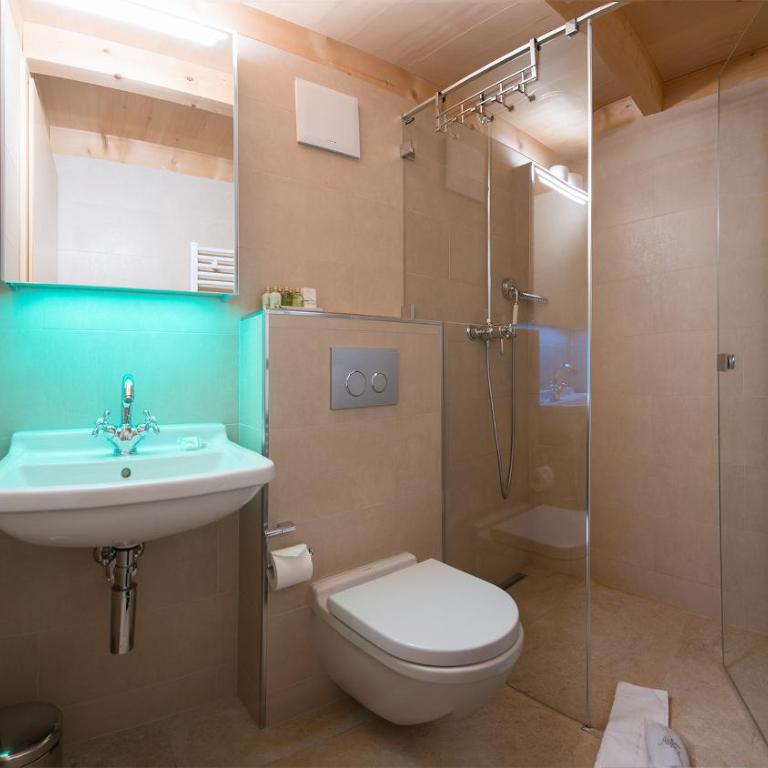 Chalet Aberot - Penthouse-Apartment - 28