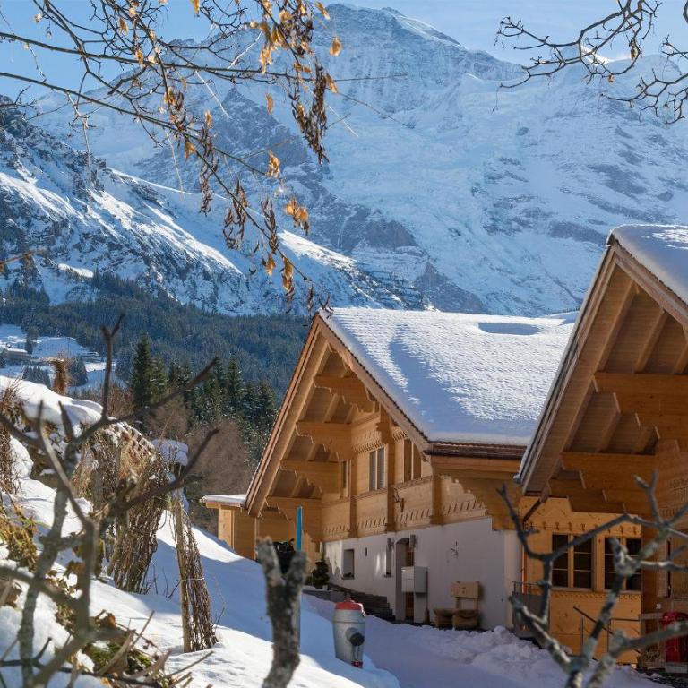 Chalet Aberot - Penthouse-Apartment - 37