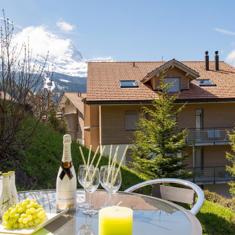 Chalet Panorama - Apartment - 11