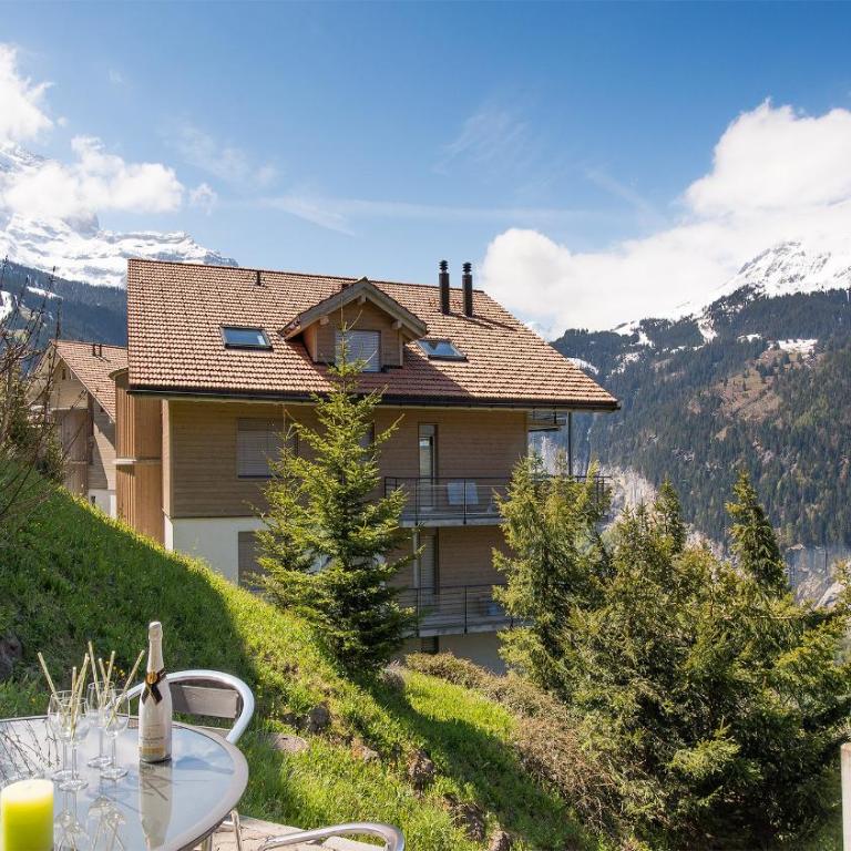 Chalet Panorama - Apartment - 14