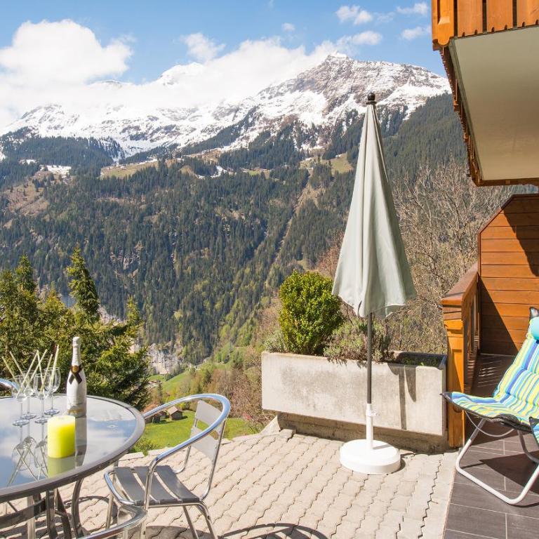 Chalet Panorama - Apartment - 8