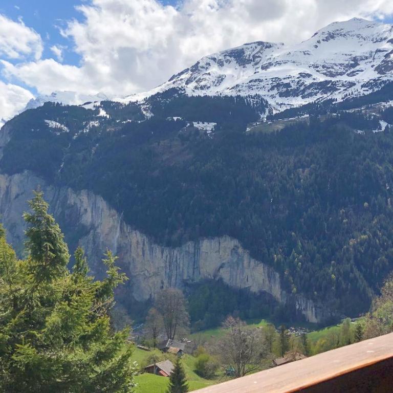 Chalet Panorama - Apartment - 2