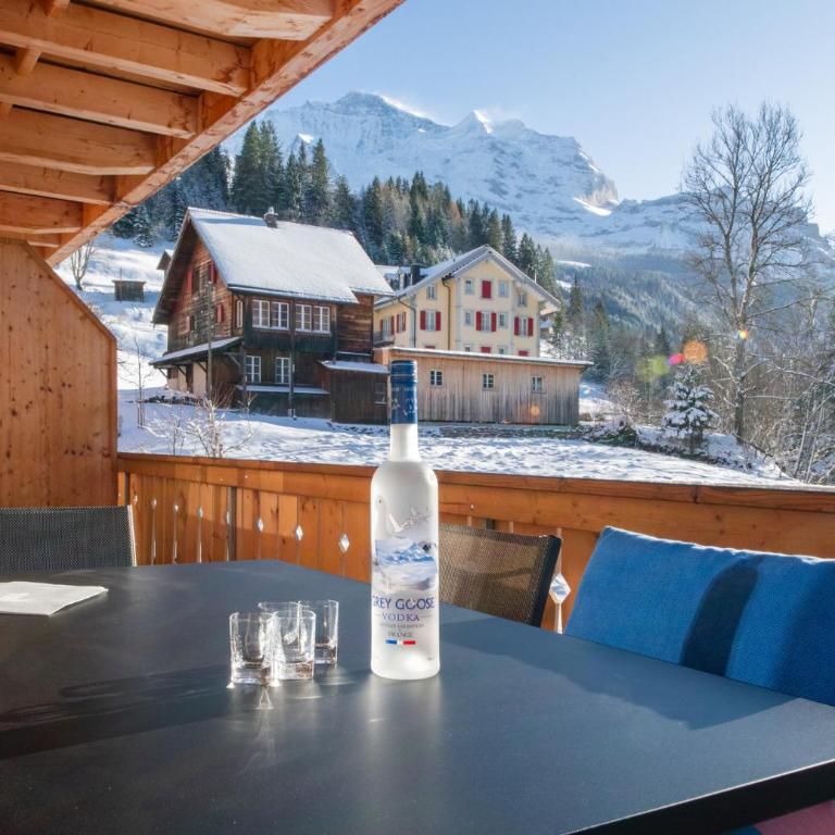 Panoramapark Soleil Chalet A - Apartment mit Balkon - 18