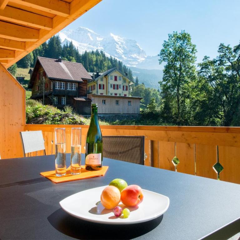 Panoramapark Soleil Chalet A - Apartment mit Balkon - 19