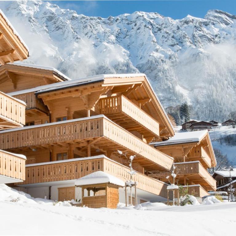 Panoramapark Soleil Chalet A - Apartment mit Balkon - 40