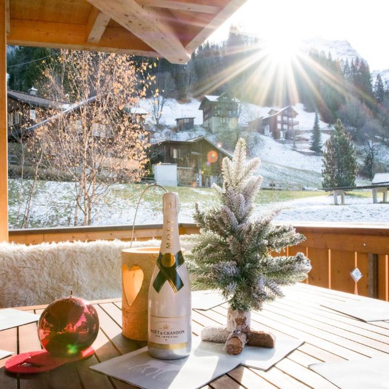 Panoramapark Soleil Chalet C - Apartment mit Balkon - 2