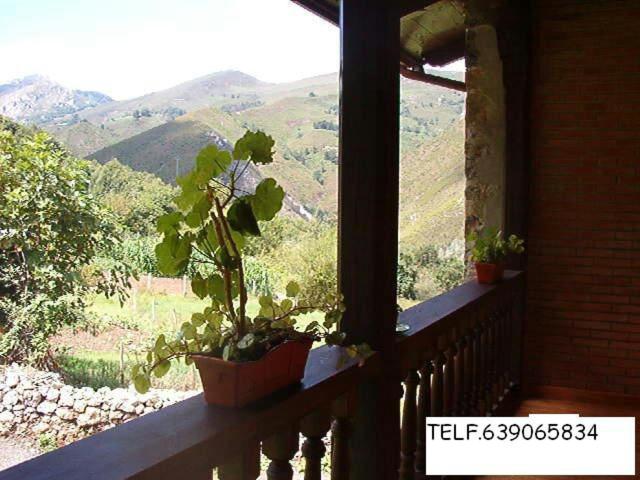 LA NOZAL piscina, barbacoa, jardín - Three-Bedroom House - 6