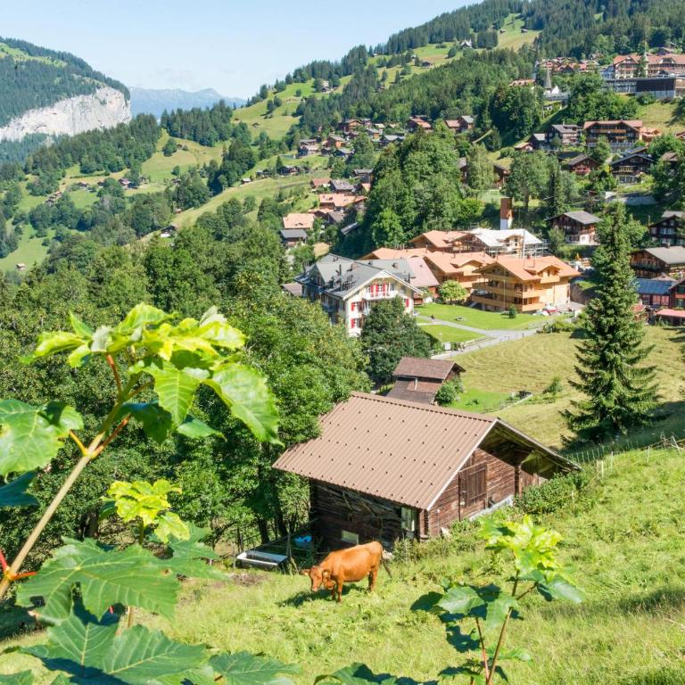 Panoramapark Soleil Chalet C - Apartment mit Balkon - 38