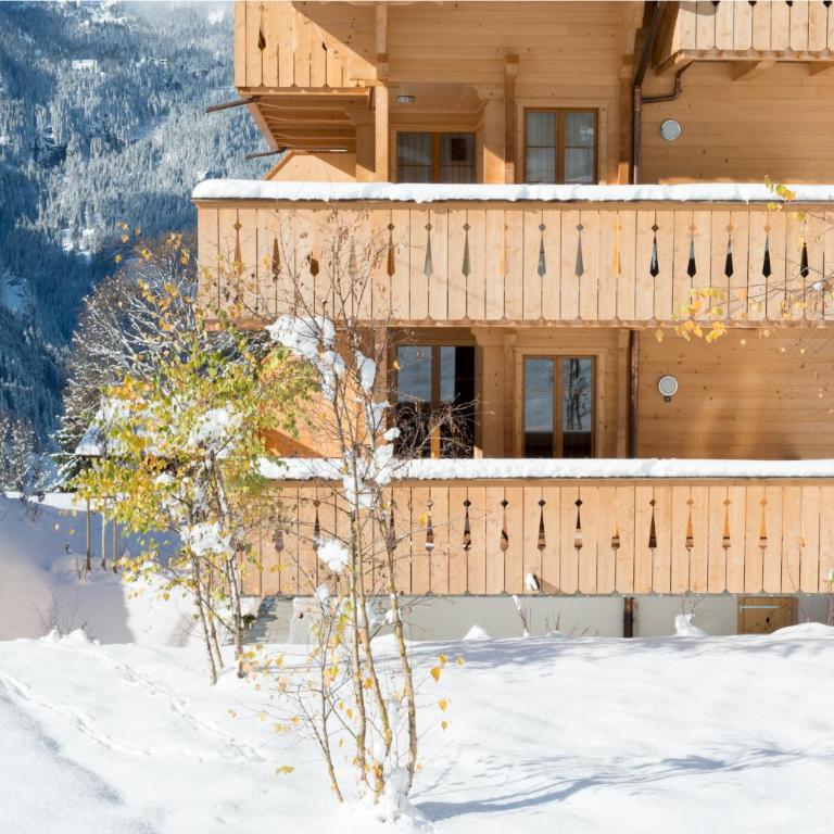 Panoramapark Soleil Chalet C - Apartment mit Balkon - 22