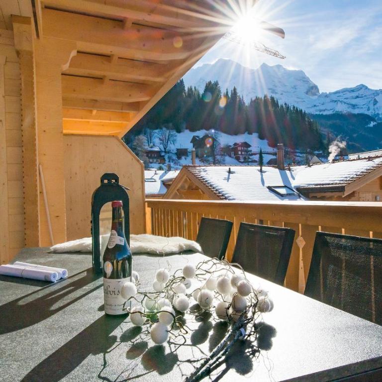 Panoramapark Soleil Chalet E - Superior Apartment mit Sauna - 1