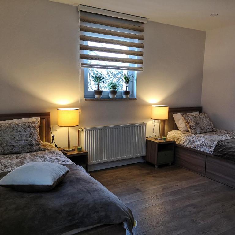 Apartmani NiS - One-Bedroom Apartment - 16