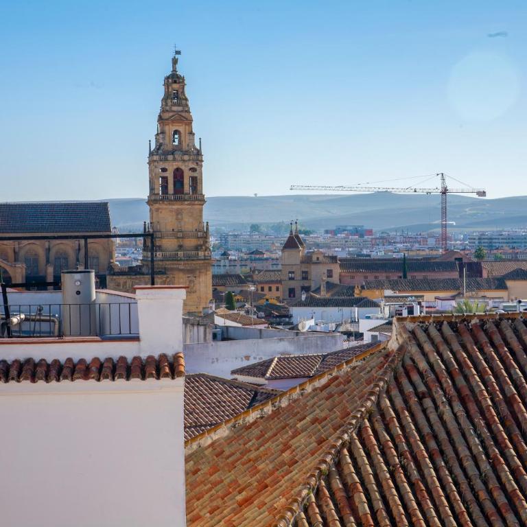 El Mirador de la Judería - Apartamento con terraza - 8