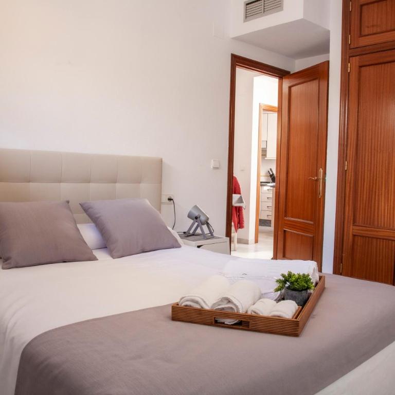 El Mirador de la Judería - Apartamento con terraza - 14