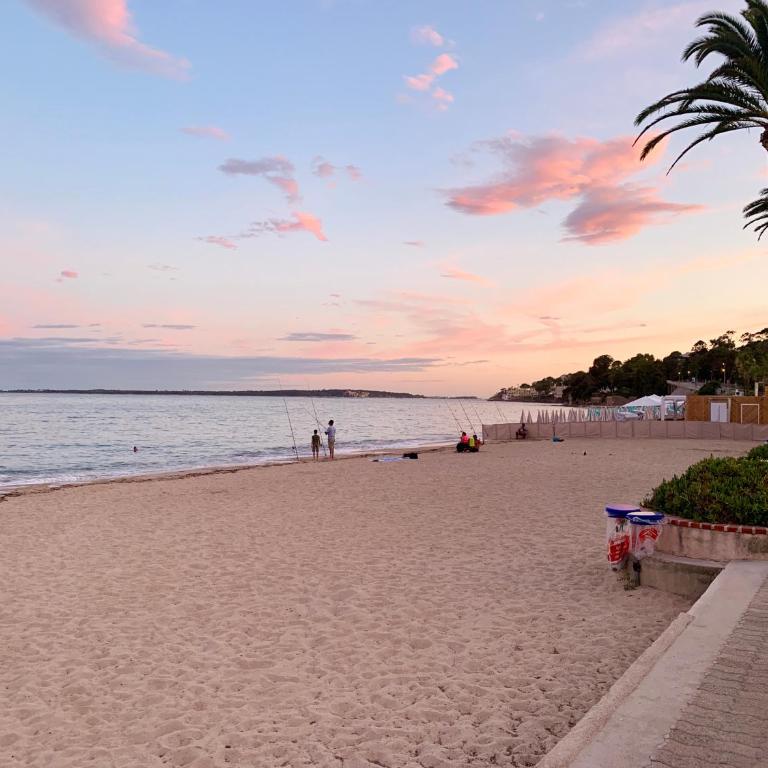 Cocoon vue Mer ☆ en face du Port de Golfe-Juan ☆ - Appartement - Vue sur Mer - 20