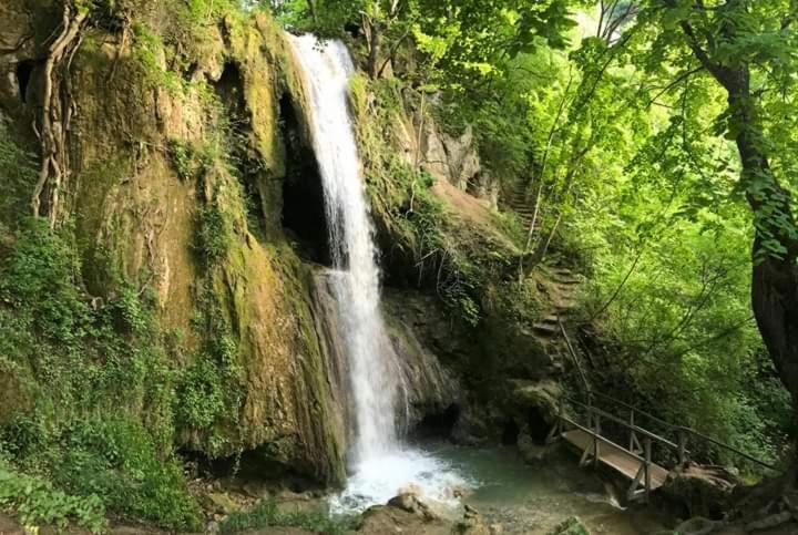 Sokobanja Apartmani - Apartman sa 1 Spavaćom Sobom - 22