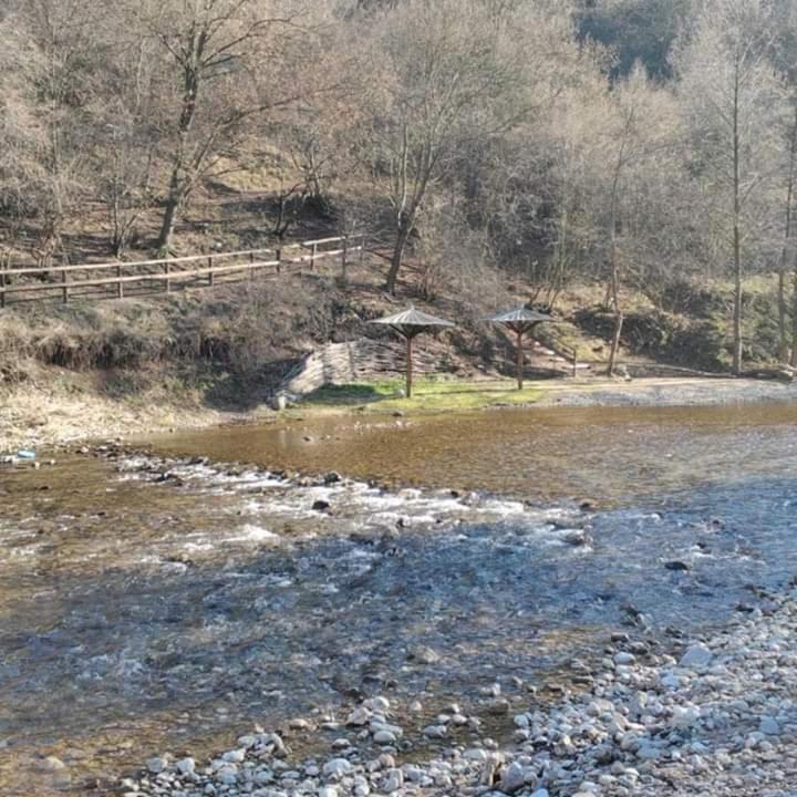 Sokobanja Apartmani - Apartman sa 1 Spavaćom Sobom - 7