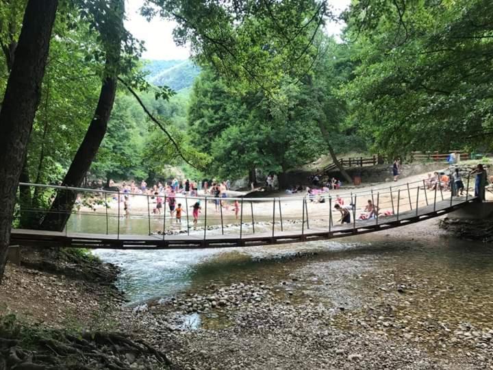 Sokobanja Apartmani - Apartman sa 1 Spavaćom Sobom - 5