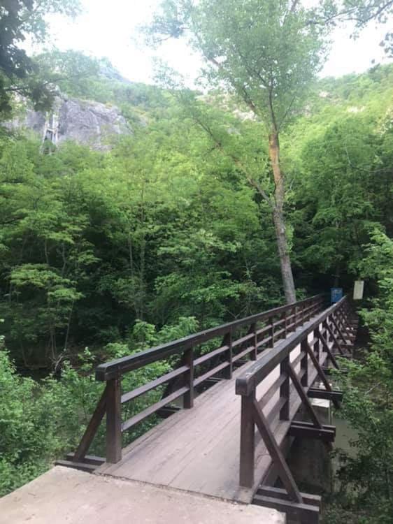 Sokobanja Apartmani - Apartman - Prizemlje - 12