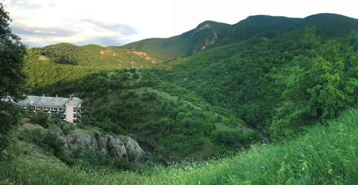 Sokobanja Apartmani - Apartman - Prizemlje - 11