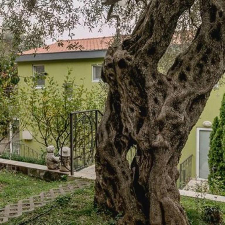 Olive Garden Apartment - Two-Bedroom Villa - 43