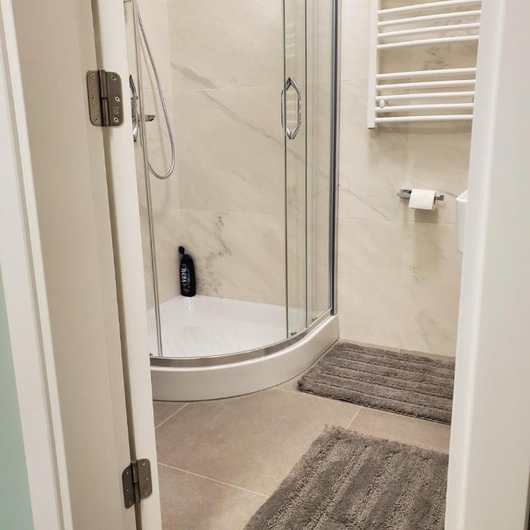 Apartman Natasa sa podzemnom garažom - Apartman sa 1 Spavaćom Sobom - 18