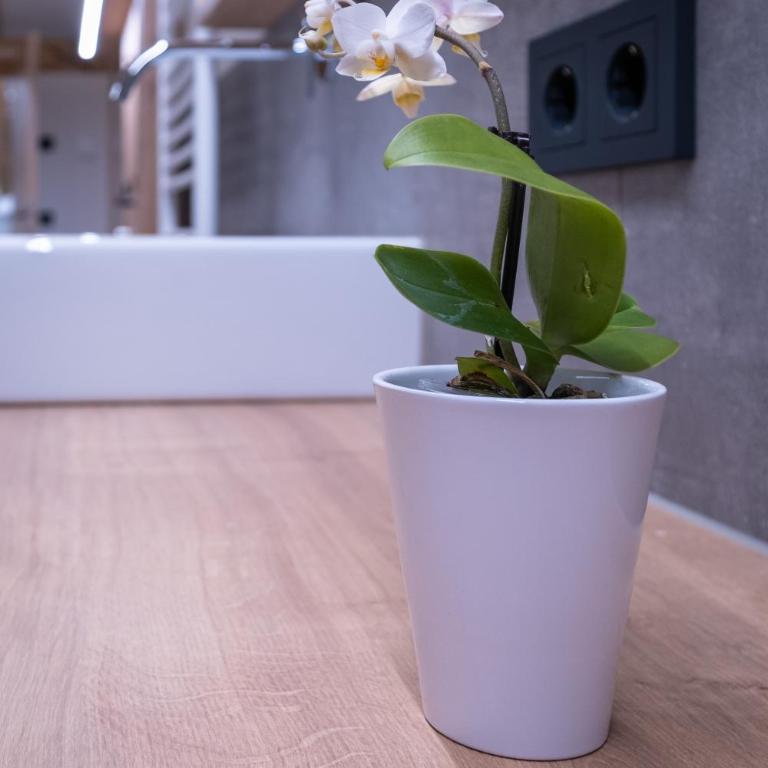 Apartment Haus Schönwies - Apartment mit 2 Schlafzimmern - 18