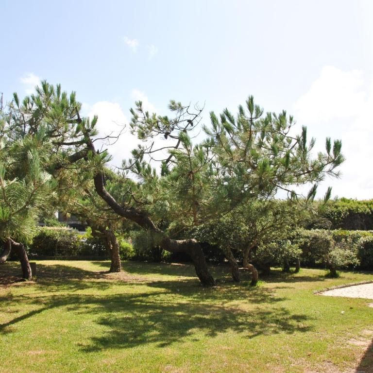 DUNES - Villa Patio Avec Jardin - proche Plage de la Gravière - Maison 3 Chambres - 8