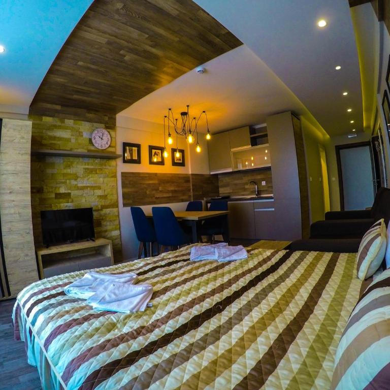 SM Apartments Kopaonik III - Studio with Mountain View - 22