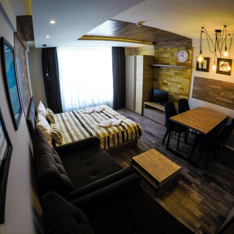 SM Apartments Kopaonik III - Studio with Mountain View - 21