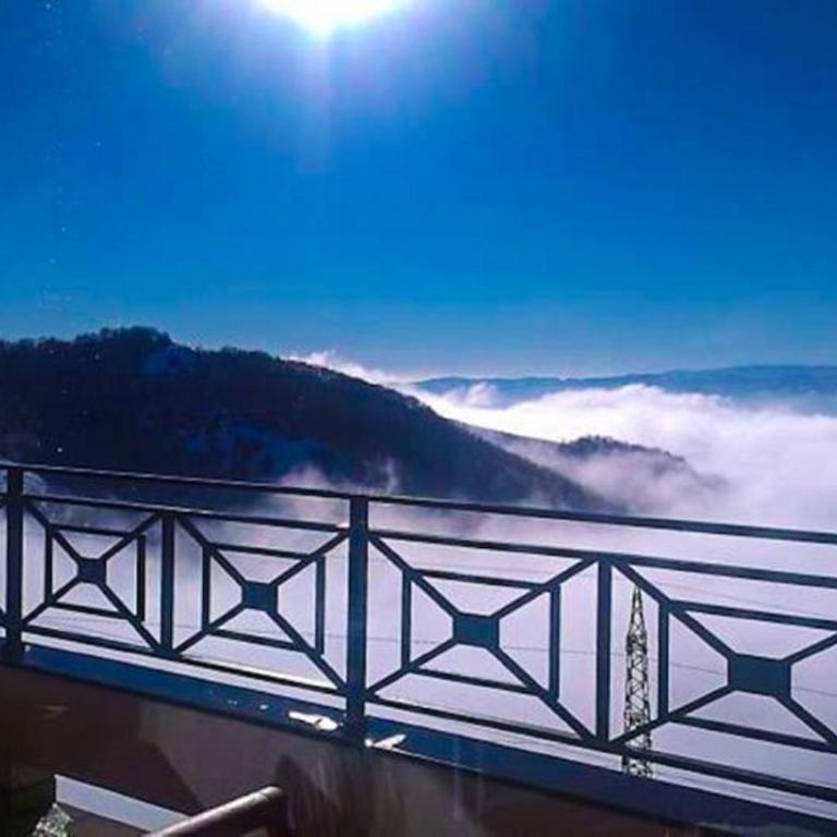 SM Apartments Kopaonik III - Studio with Mountain View - 13