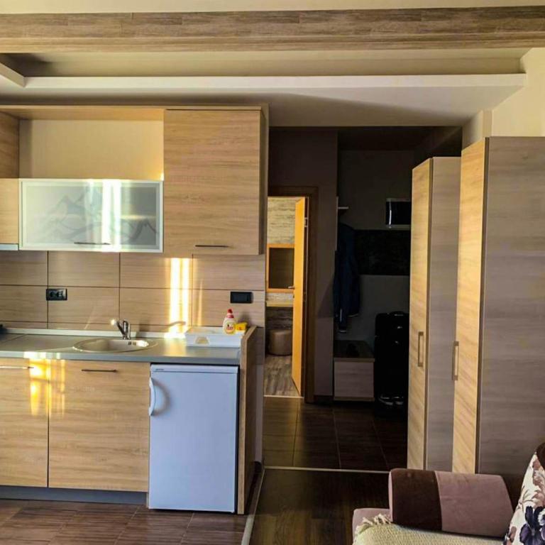 SM Apartments Kopaonik III - One-Bedroom Apartment - 2
