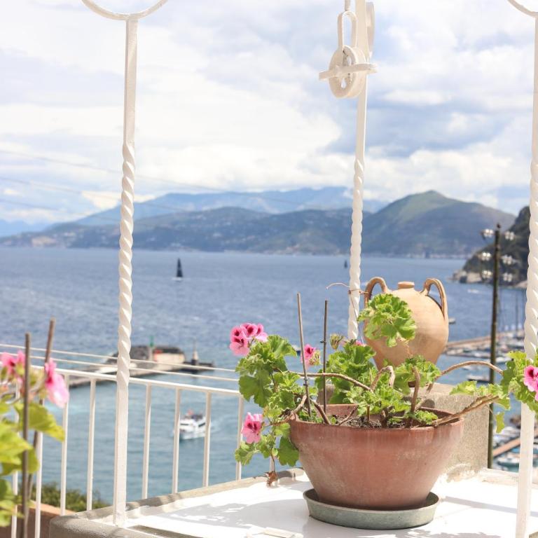 Casa Tarantino Capri charming apartments - Appartamento con 1 Camera da Letto - 28