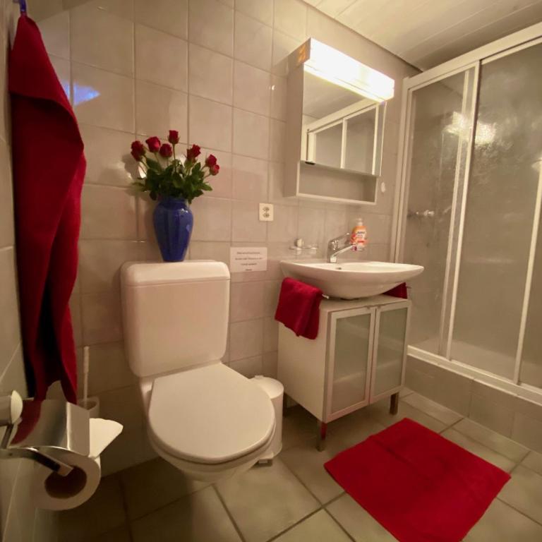 Chasa Bazzi - Apartment - 13