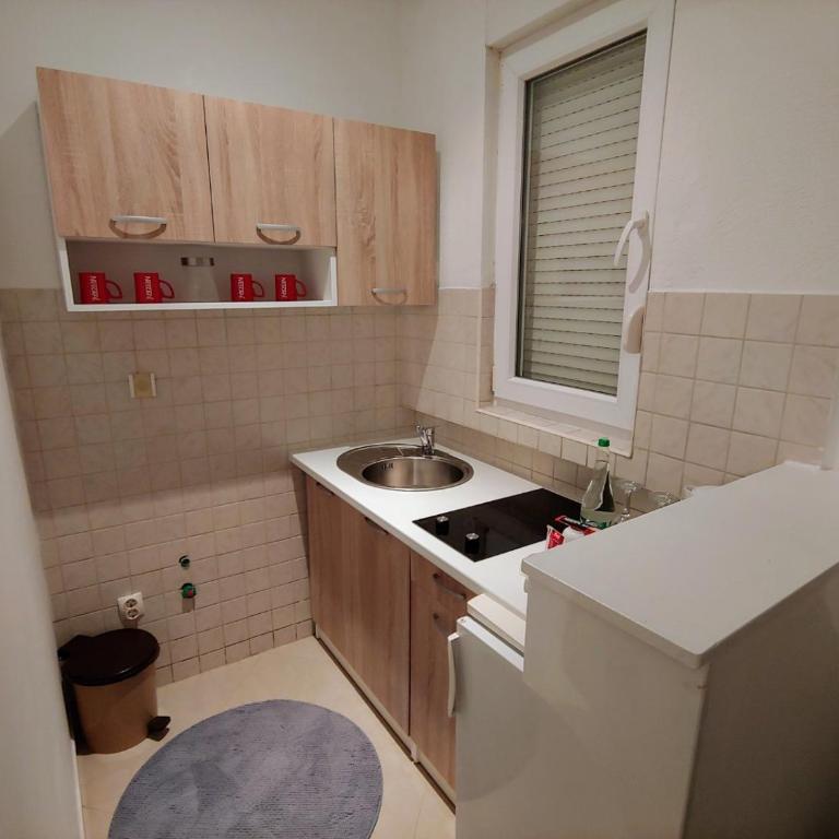 Apartments Tulipan - with free private parking garage - One-Bedroom Apartment with Terrace - 9