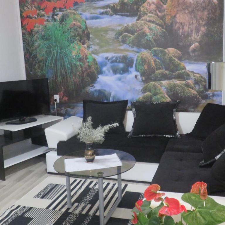 Guest House Pavlovic - Dupleks Apartman s 2 Spavaće Sobe - 29