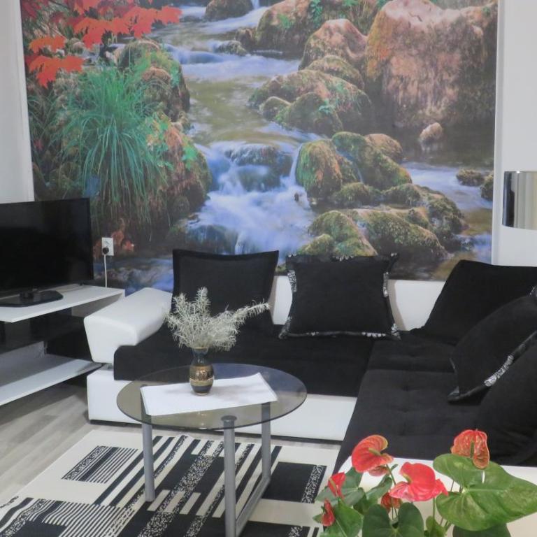 Guest House Pavlovic - Dupleks Apartman s 2 Spavaće Sobe - 1