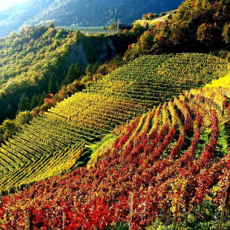 Dolomitica, nuovo, fino a 6 Persone - Appartamento Deluxe - 23