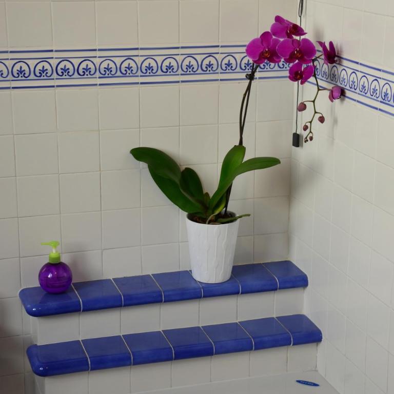 B&B SPLENDIDAE MUNDI - Double or Twin Room with Terrace - 16