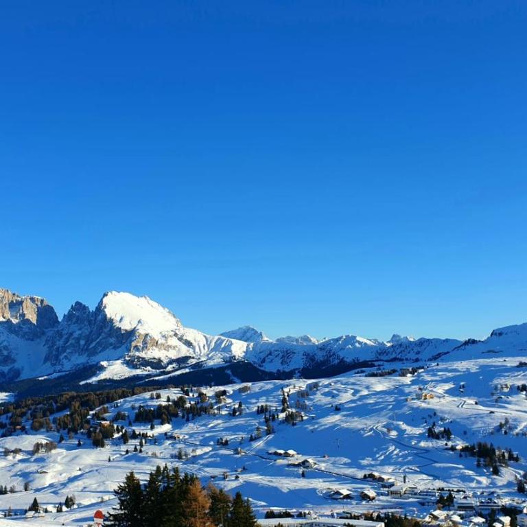 Dolomitica, nuovo, fino a 6 Persone - Appartamento Deluxe - 22