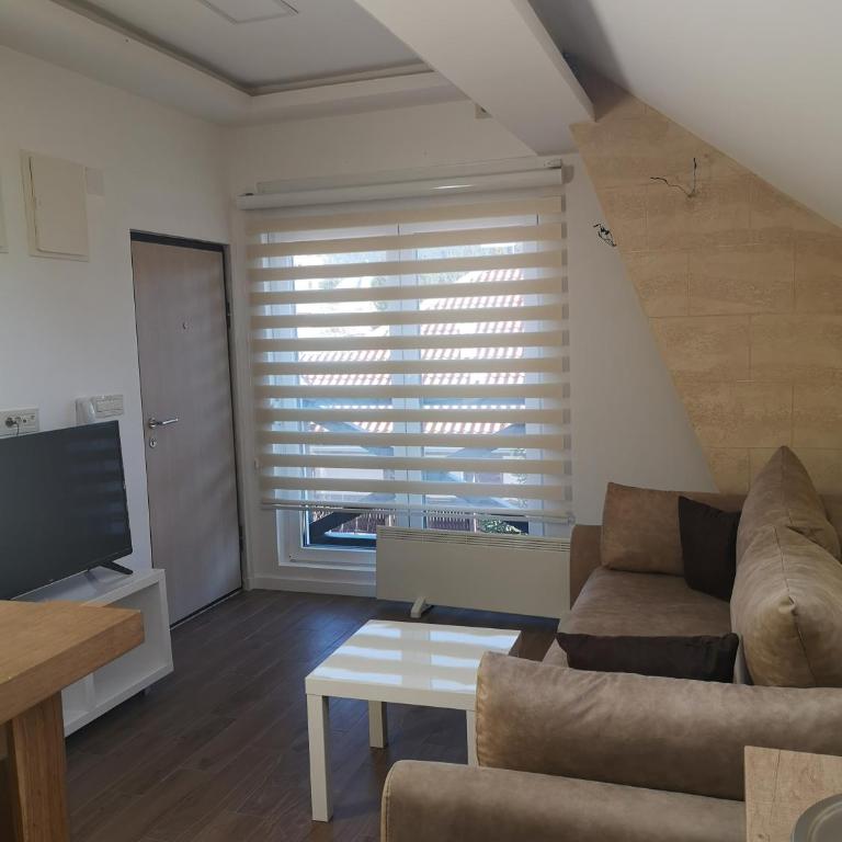 KOPAONIK HOUSE - One-Bedroom Apartment - 7
