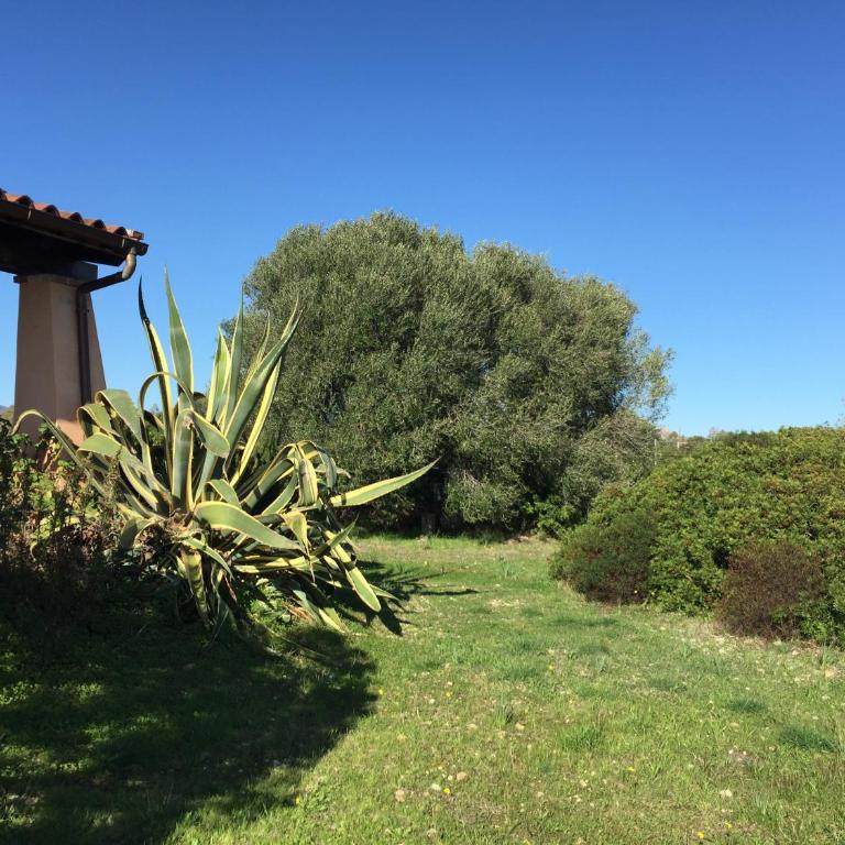 Domo Giulia - Casa con 3 Camere da Letto - 1