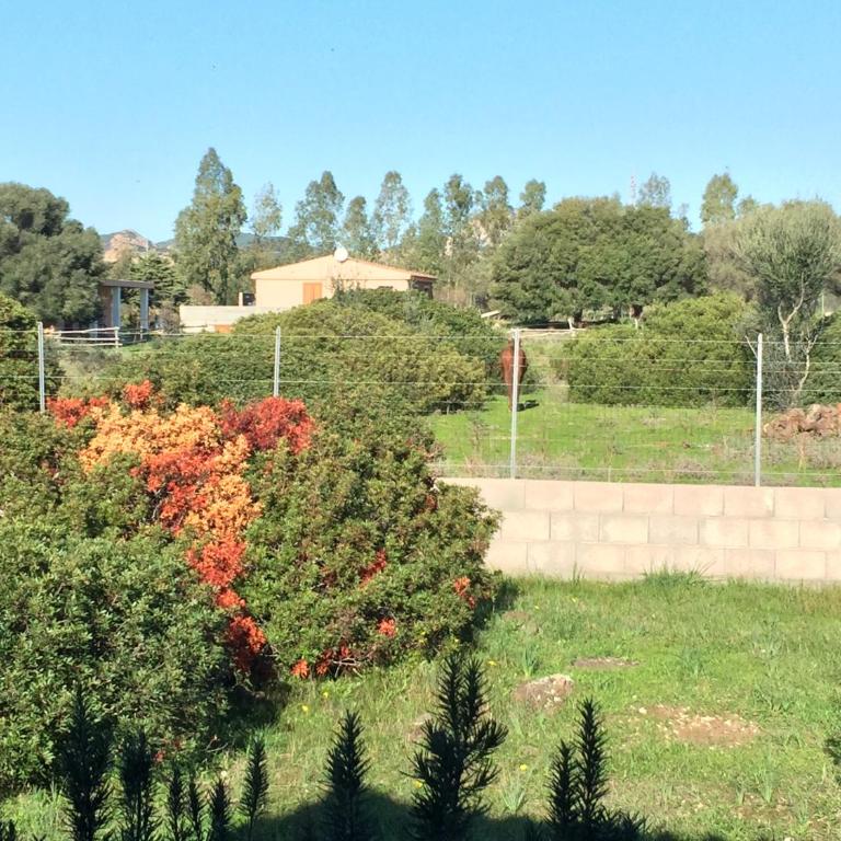 Domo Giulia - Casa con 3 Camere da Letto - 31
