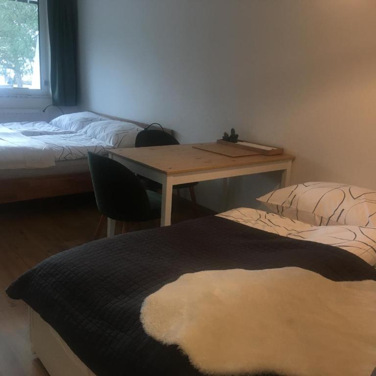 Appartement Hochkönigreich - Apartamento de 1 dormitorio - 8