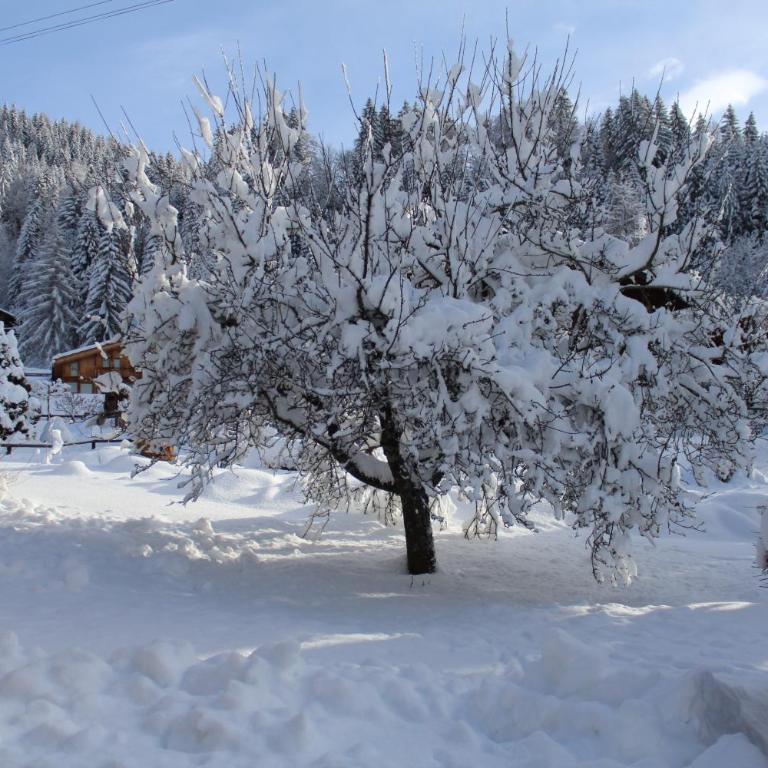 Chalet Le Slalom - Apartment - 50