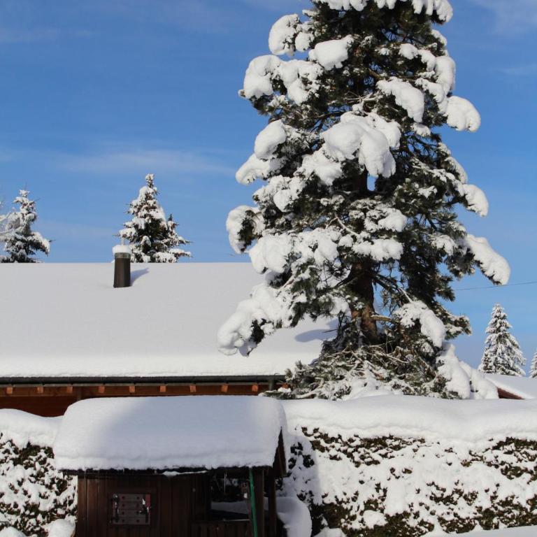 Chalet Le Slalom - Apartment - 49