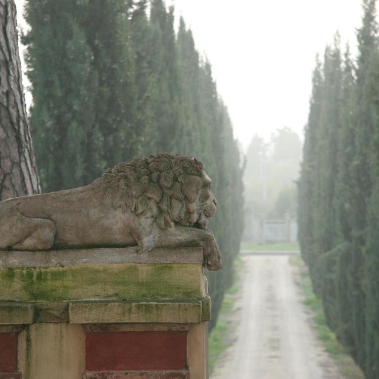 Villa Guadagni Cappelli - Villa - 6