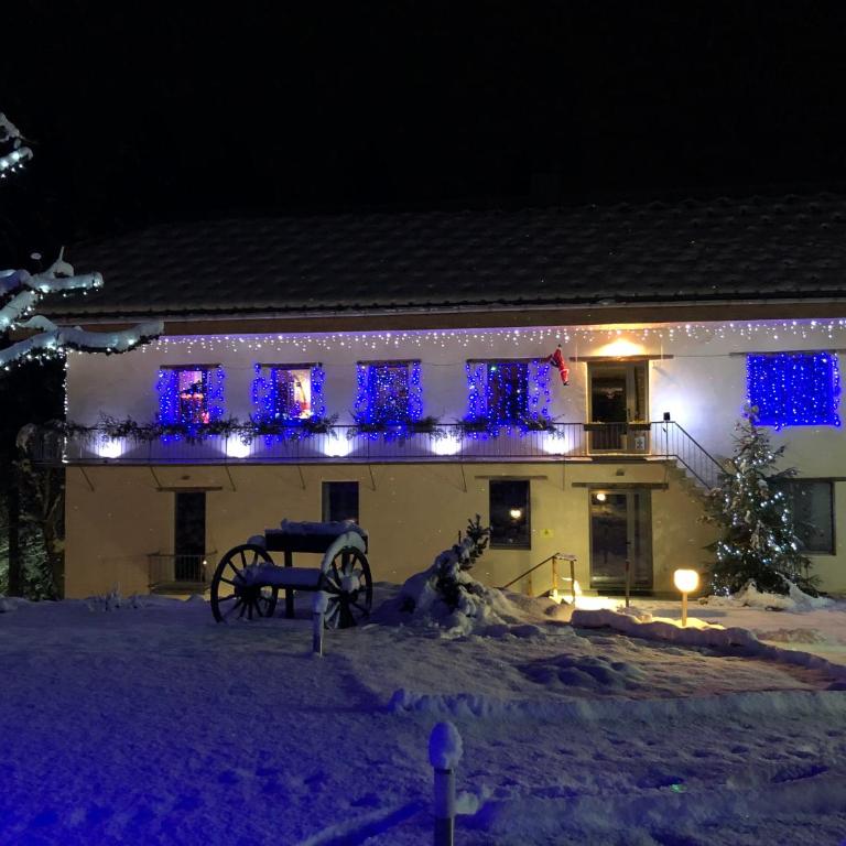 Le Moulin des Olirics - Apartment mit 2 Schlafzimmern und Bergblick - 49