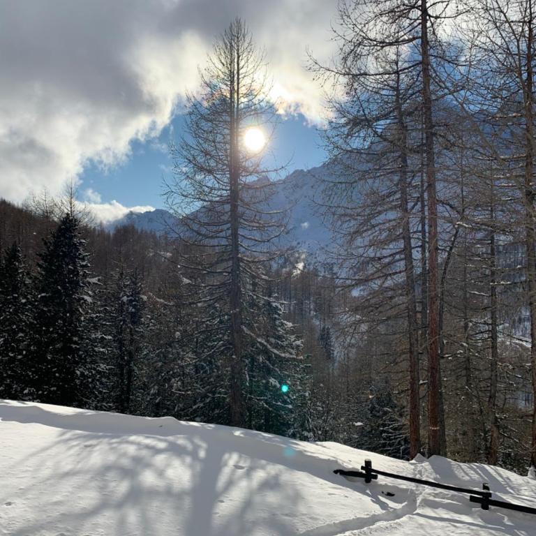 Casa Camas, wide 2bedroom, feel the mountain - Appartamento con 2 Camere da Letto - 37